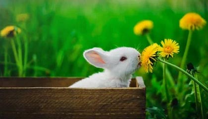 九游下载官网-VALORANT 职业选手竞技状态火热，valorant职业选手设置